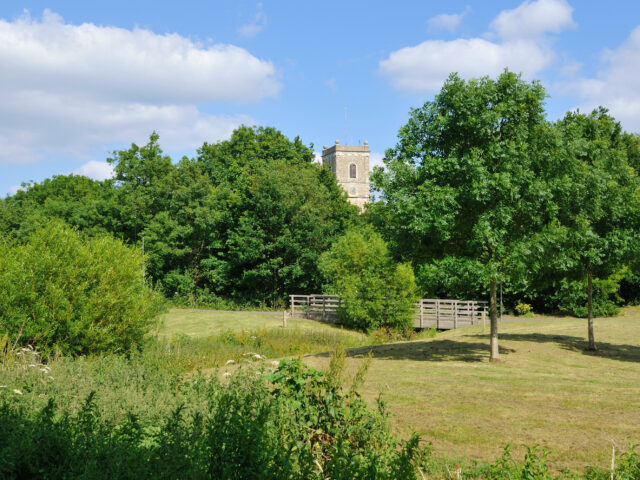 A park with trees, a church tower can be seen in the distance between the trees