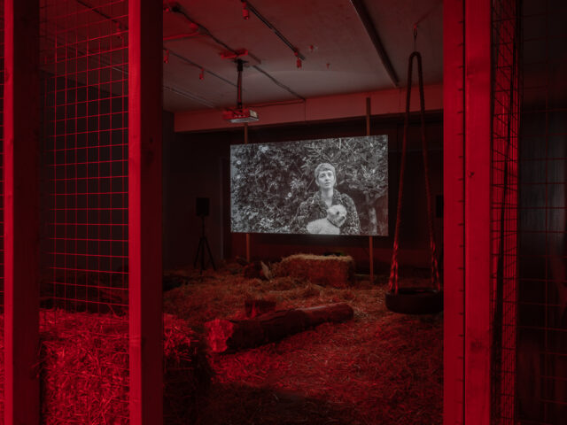 A barn like space in a gallery with hay bales, has a film still of a person holding a dog