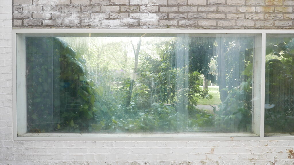 A photo of a green space seen through a window