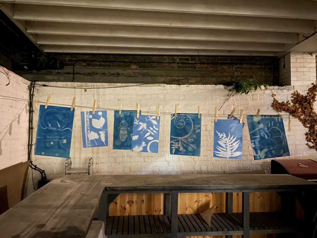 A washing line of blue cyanotype prints.